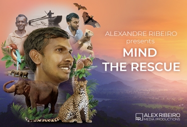 Blogs Image